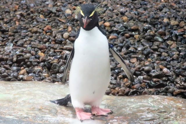 北海道 旭川 旭山動物園