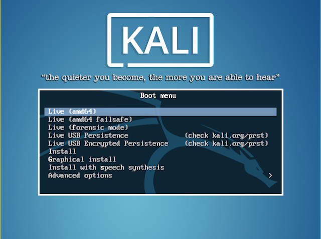 Kali Linux live bootable usb