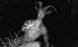  Goatman ή ο σύγχρονος "Πάνας". Υποτίθεται πως είναι ένα μυστήριο πλάσμα, ένας άντρας με κεφάλι τράγου και όψη αποκρουστική.  Εν έ...