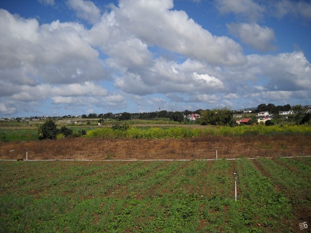 DSCN3667_2