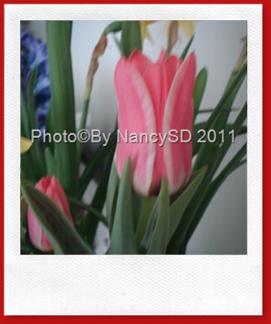 DSC02350