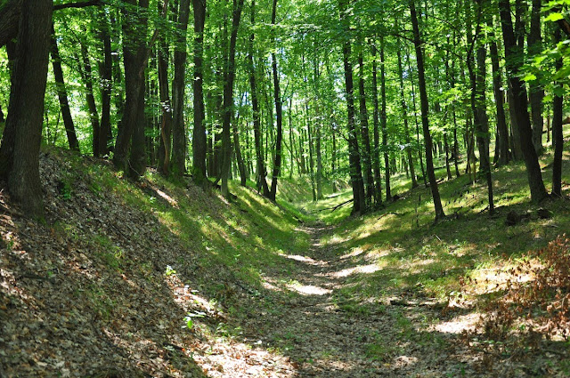 Bojná - grodzisko