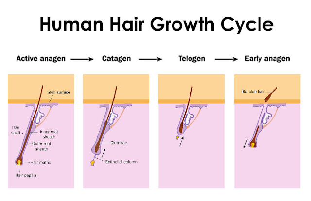 Hair transplant in Navi Mumbai