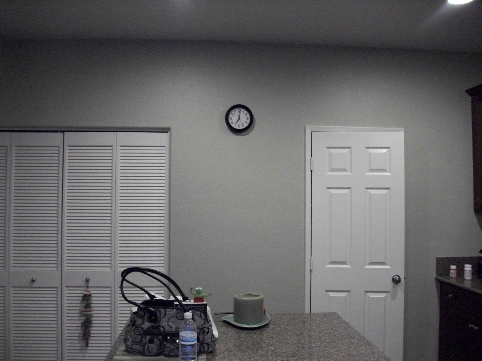 Kitchen Wall (Sage Green)