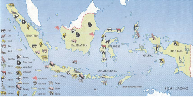  Peta  Persebaran  Flora  Dan  Fauna  Di Indonesia Foto Bugil 