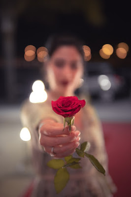 Rose in Hand Whatsapp DP For Girl