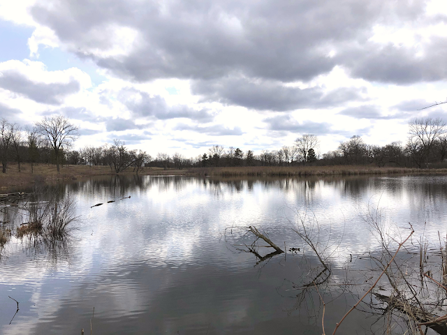 Despite the clouds during our visit, the lakes of Lakewood Forest Preserve dazzled  and displayed stunning reflections.