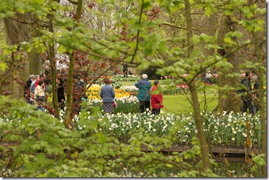 Keukenhof