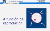 https://www.edu.xunta.es/espazoAbalar/sites/espazoAbalar/files/datos/1363179152/contido/funcion_reproducion/funcion_reproducion_4.html