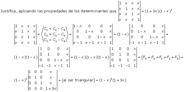 determinante 13