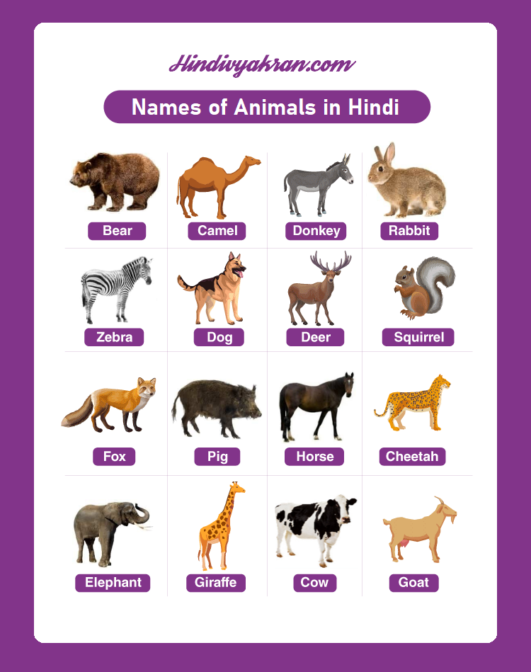 जानवरों के नाम हिंदी में (Animals Names in Hindi)
