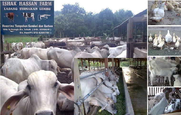 Ishak Hassan Farm: Pembekal-Pembekal Makanan Lembu Fidlot