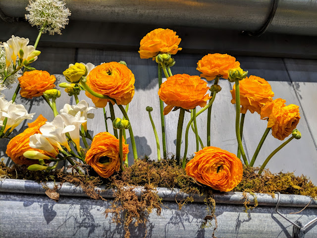 Квіткова виставка у Філадельфії - 2018 (PHS Philadelphia Flower Show -2018)