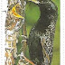 Selo da Guiana, Sturnus vulgaris