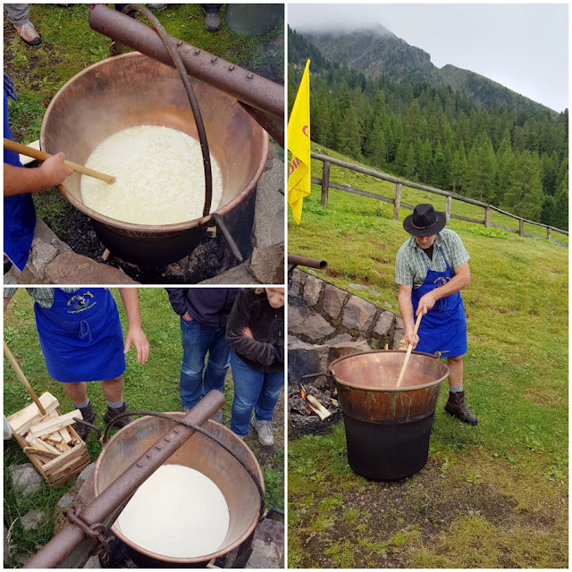 albe in malga val di fiemme