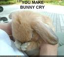 You make bunny cry