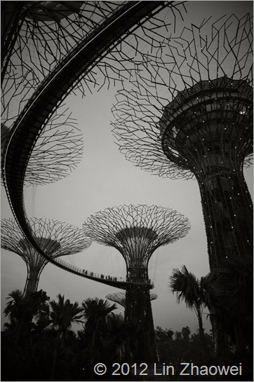 R0031949