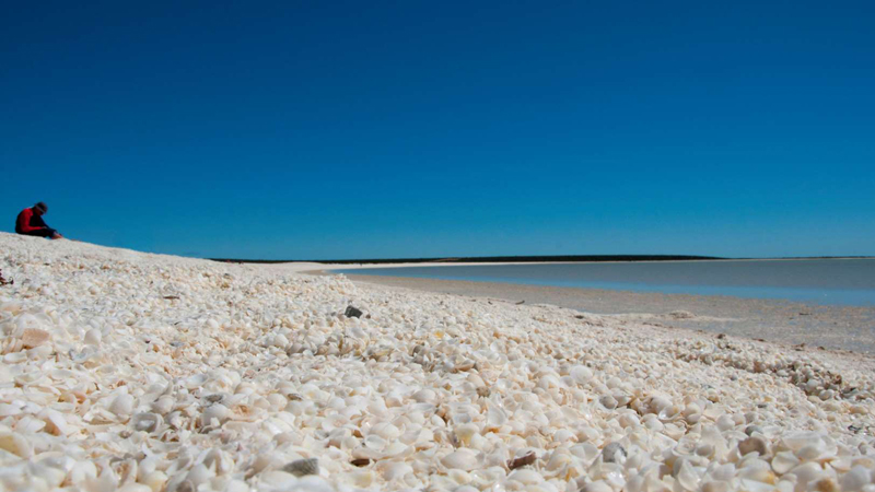 Shell Beach, Australia