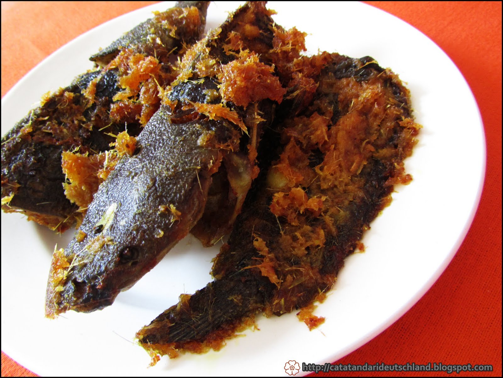 Catatan Dari Deutschland: Ikan Keli Goreng Berlada