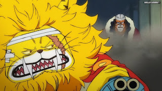 ワンピースアニメ 1025話 ネコマムシ イヌアラシ | ONE PIECE Episode 1025