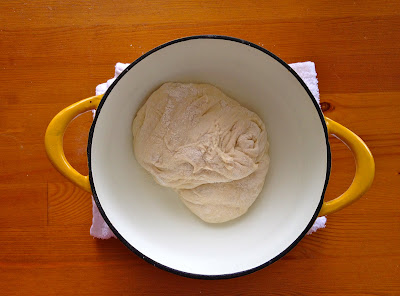 dough in a dutch oven for barking