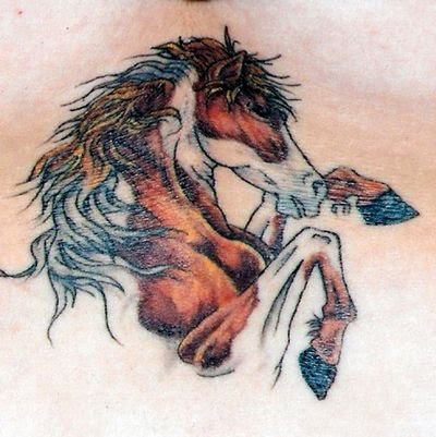 Horse Tattoos Design