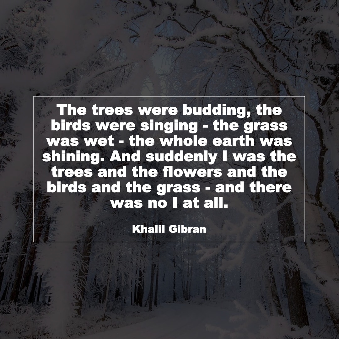 The trees were budding, the birds were singing - the grass was wet - the whole earth was shining. And suddenly I was the trees and the flowers and the birds and the grass - and there was no I at all. (Khalil Gibran)