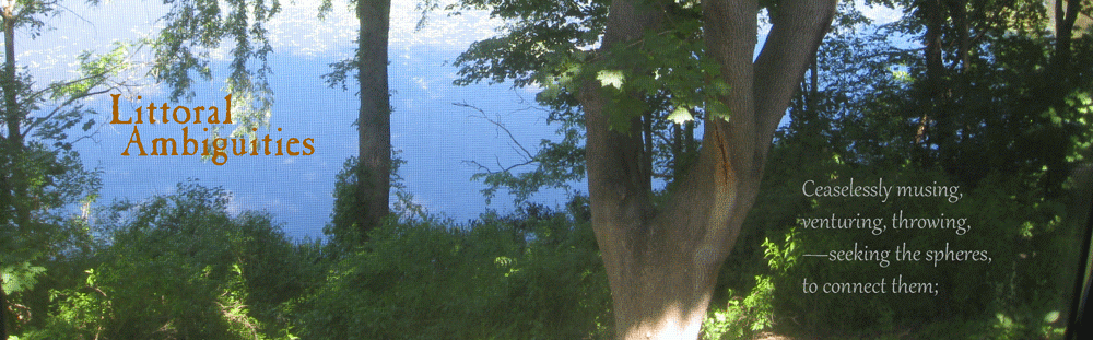              Littoral Ambiguities