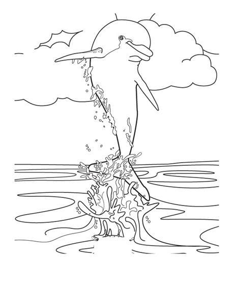 Dolphins Coloring Pages 9