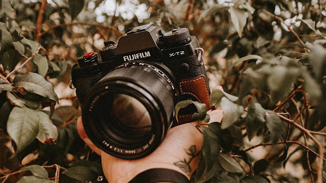 Camera, Hand, Leaves