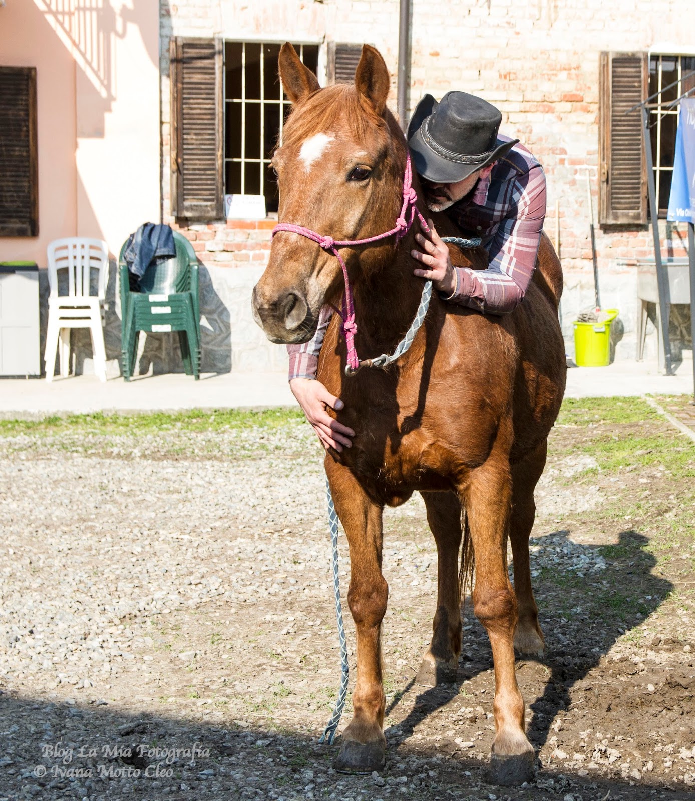 Melody Horse Lab