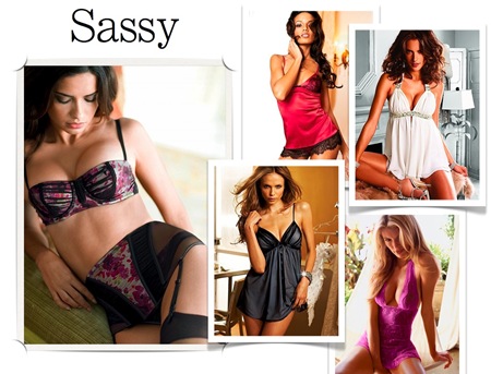 Lingerie Gallery Model