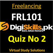 Freelancing - FRL101 | Quiz No 2 | Batch 04 | Digiskills.pk 