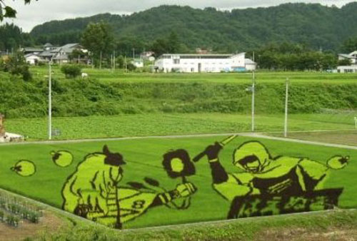 Beautiful Rice Field Art 15