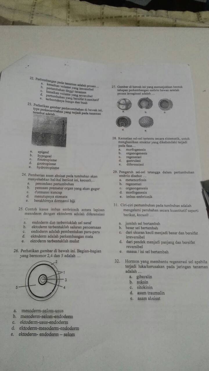 BIOLOGI GONZAGA: PERSIAPAN UJIAN BIOLOGI KELAS XII IPA SMSTR 1