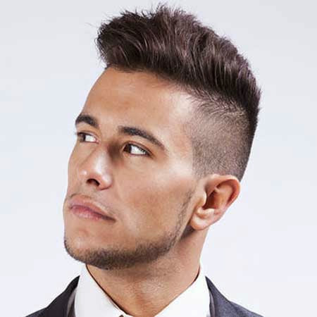 Mens Hairstyles 2013