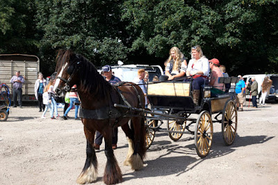 Brigg Horse Fair 2016 picturey 16 by Ken Harrison - image posted on Nigel Fisher's Brigg Blog