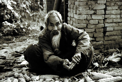 Bozhou County, Anhui Province, China, old man in harvest time