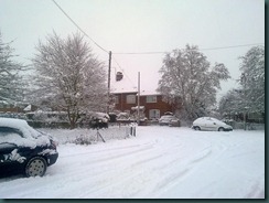 snow day 019
