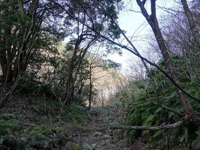 孝霊山　麓の谷の眺望