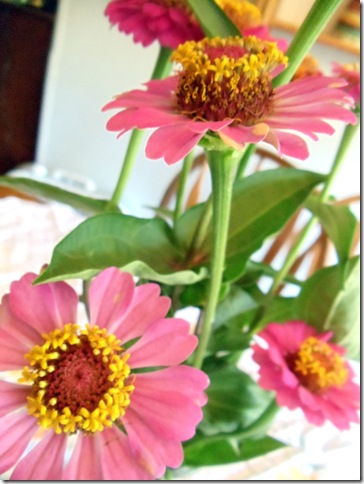 Blogging 013