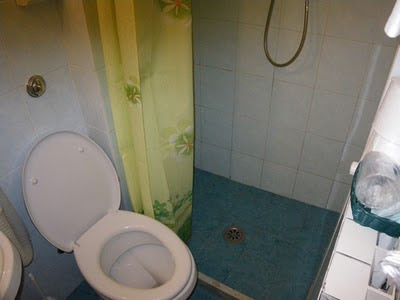 toilet and shower room