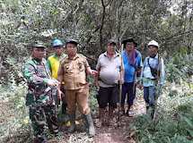 Pabung Minut Tinjau Lokasi Pembuatan Jalan Produksi Pertanian 