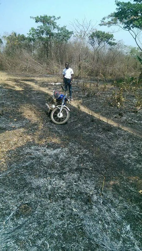 Photos: 4 years after man invested his life savings & loan from friends on a plantation in Ekiti, Fulani herdsmen burnt it down