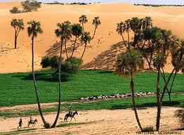 In Africa, Greening of the Sahel, drought in Africa, kekeringan di afrika, afrika, padang sabana di afrika
