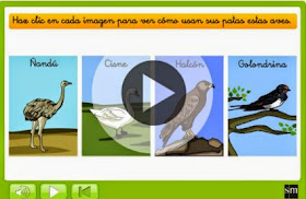 http://www.primaria.librosvivos.net/2epcmcp_ud5_act3_inv__Para_que_utiilizan_las_aves_sus_patas_.html