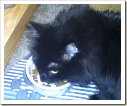 photos 075
