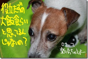 今日カズ１０１１０８　５