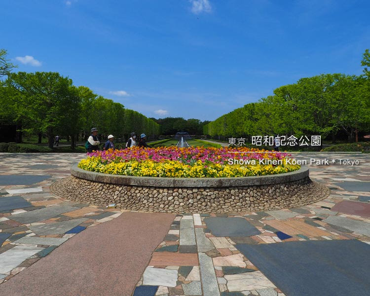 昭和記念公園：立川口ゲート前の丸花壇