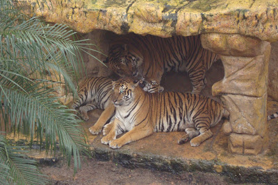 Animais do Beto Carrero World